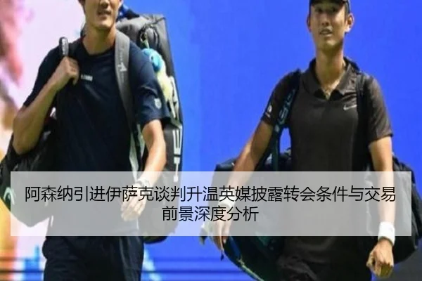 阿森纳引进伊萨克谈判升温英媒披露转会条件与交易前景深度分析