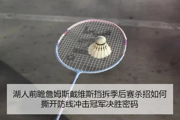 湖人前瞻詹姆斯戴维斯挡拆季后赛杀招如何撕开防线冲击冠军决胜密码